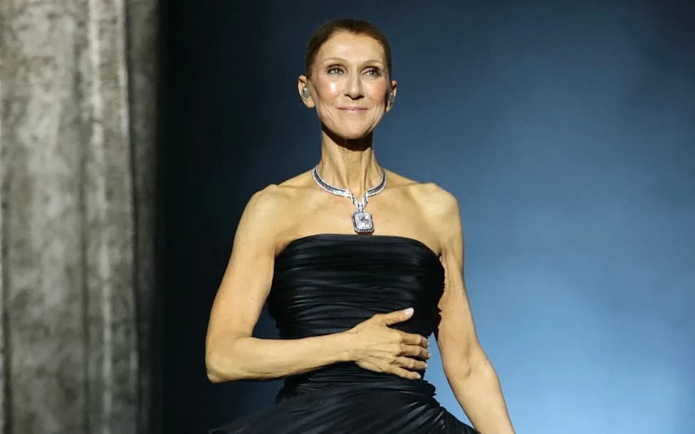 Belgian Man Loses £8,500 in Carrefour Vouchers to Fake Céline Dion After Three‑Year Online Romance