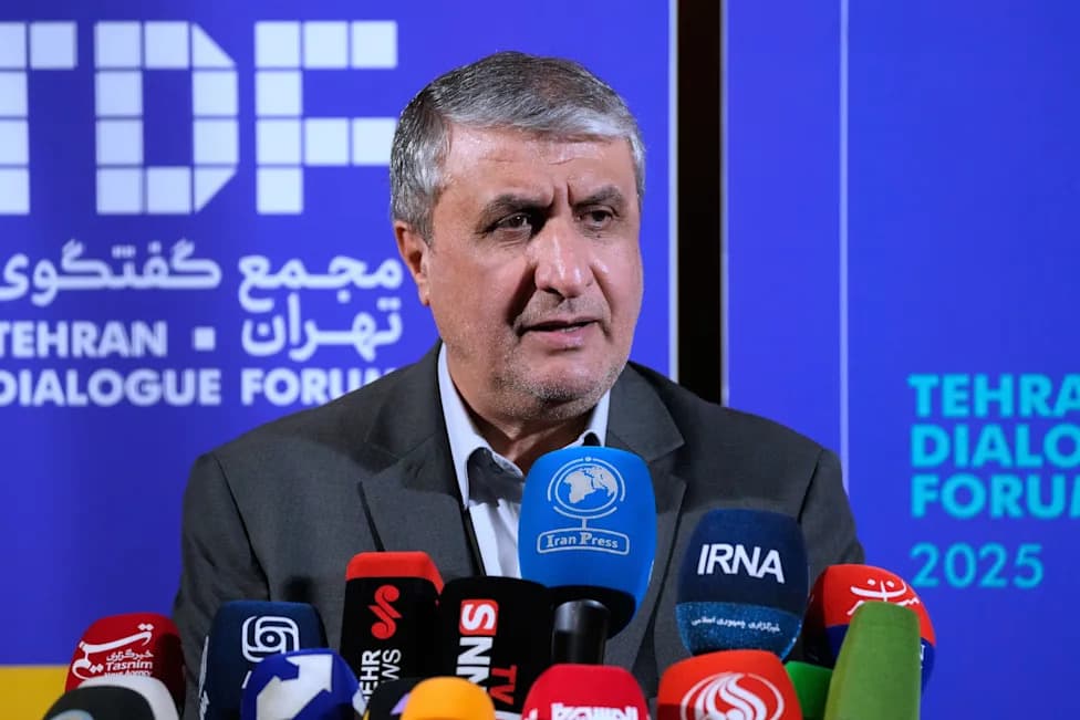 Official: Travel Ban Likely Keeps Iran's Nuclear Chief From IAEA General Conference