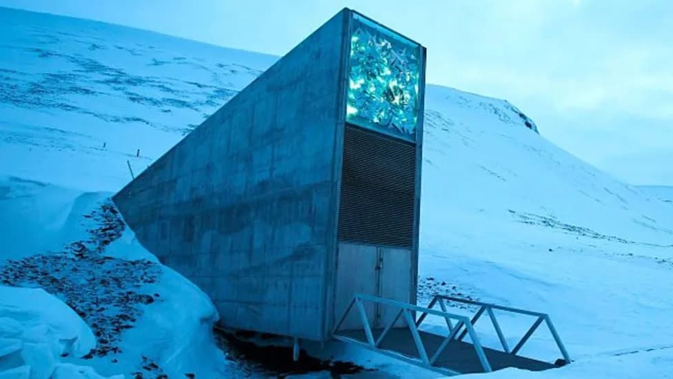 Which Tropical Seeds Survive the Longest? New Tests Reveal Doomsday Vault Limits