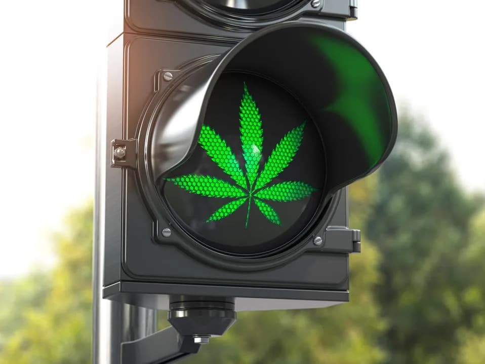 Nebraska Supreme Court Unanimously Upholds Voter‑Approved Medical Cannabis, Rejects Former Senator’s Challenge