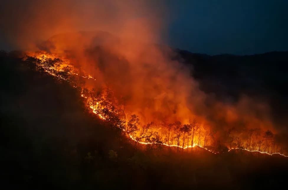 Suppressing Every Fire May Only 'Defer Risk,' U.S. Forest Service Commander Warns