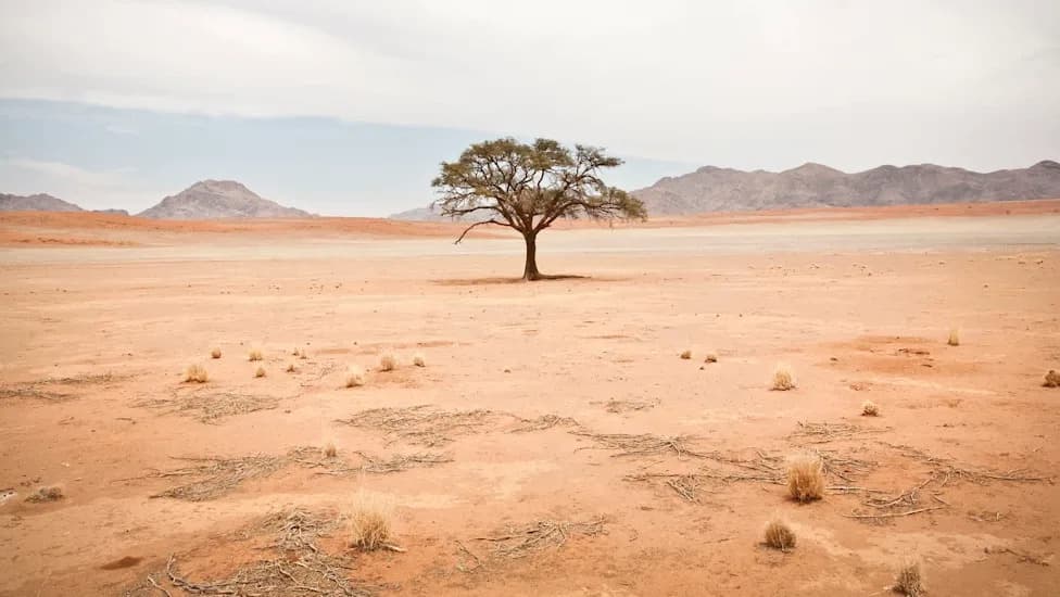 Study: Drylands Could Spread To Nearly 40% Of Earth's Land By 2100 — Australia Hit Hardest