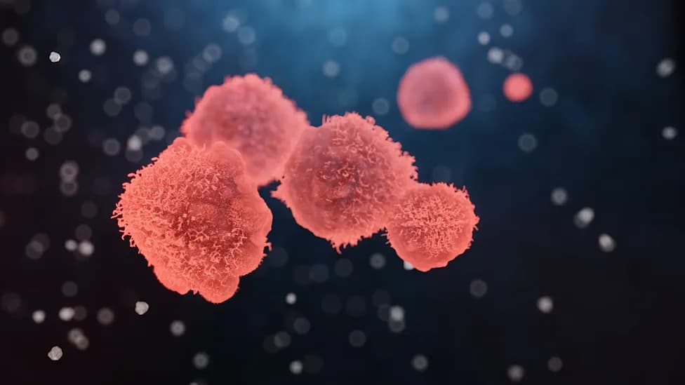 Three KRAS Drugs to Watch As Next-Gen Therapies Aim To Expand Options For Pancreatic, Lung And Other Cancers