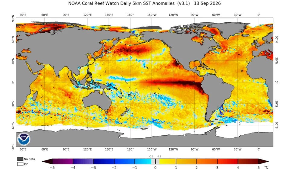 Kelvin Waves From Strengthening El Niño Raise Coastal Baselines — But Don’t Believe The ‘Massive Wave’ Hype