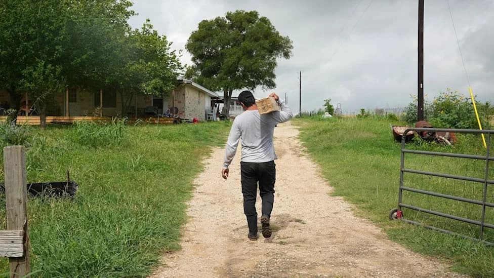 Mysterious Kidney Disease Linked To Heat Strikes Young Texas Laborers