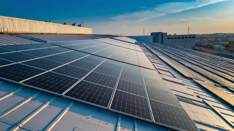 Solar, Wind, or Hydropower: Which Renewable Really Powers the World?