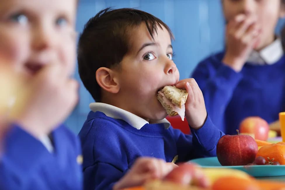 Do Universal Free School Lunches Improve Student Outcomes? New Evidence and Mixed Results