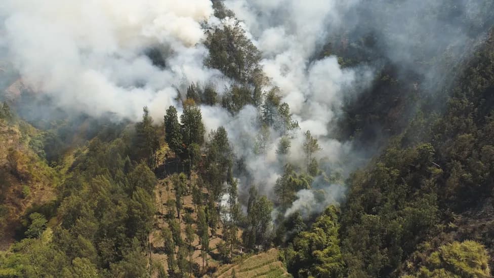 Peat Fire Raced to Within 330 Feet of Home in South Kalimantan, Leaving Families Afraid to Sleep