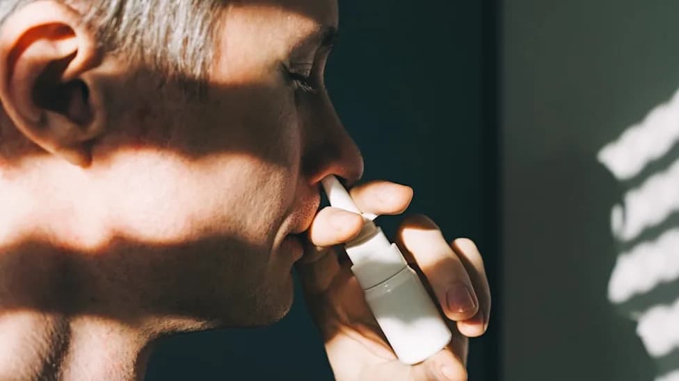 Placenta‑Derived Nasal Spray Preserves Memory and Reduces Brain Inflammation in Alzheimer’s Mice