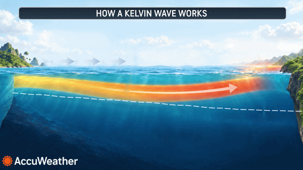 Kelvin Waves Explained: How Ocean Pulses Can Influence El Niño — And Your Coastline