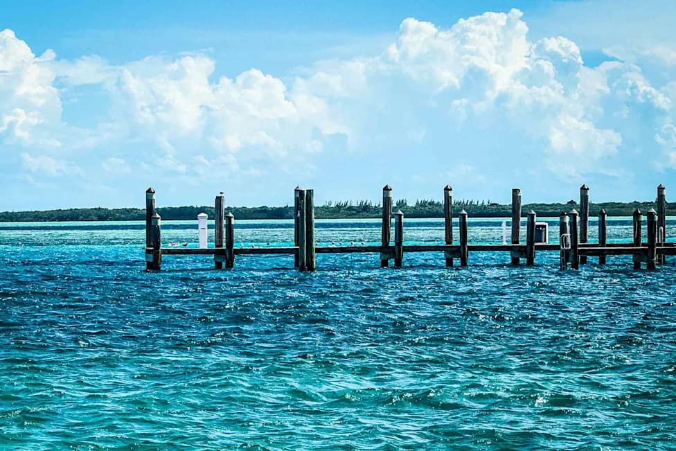 Shark Attack Off North Bimini Injures 37-Year-Old Australian During Dolphin Excursion