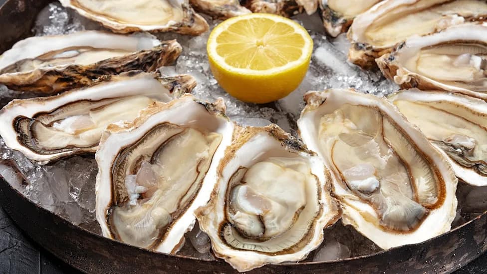 Fourth Florida Resident Dies After Contracting Flesh‑Eating Vibrio Bacterium Linked to Raw Oysters