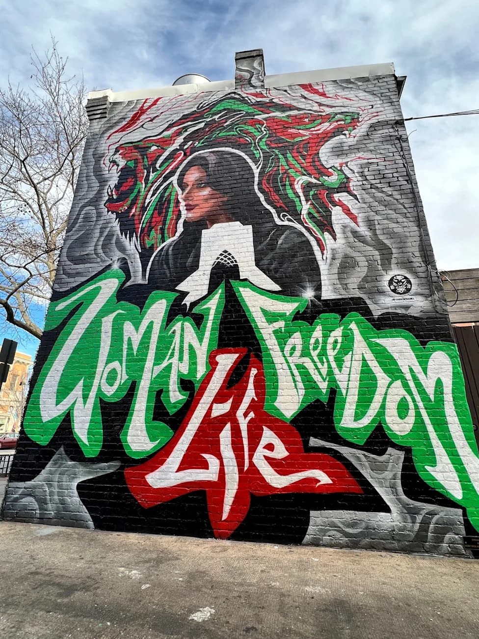 ‘Woman, Life, Freedom’: Survivors Mark Fourth Anniversary of Mahsa Amini’s Death as Movement Endures