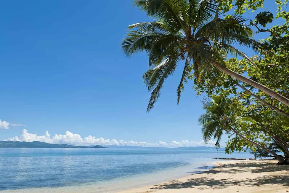 Fiji Declares National HIV Emergency As Infections Soar — 1 in 60 Adults Affected
