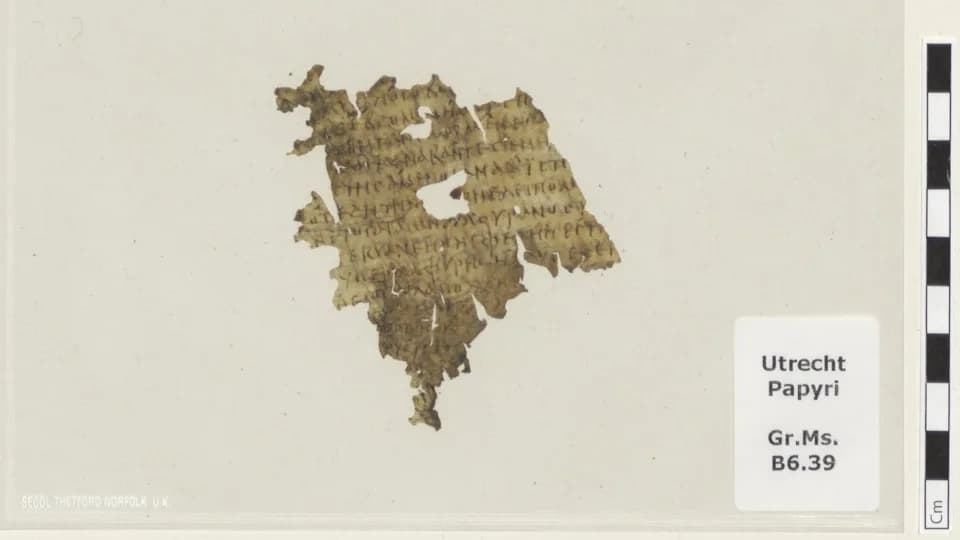 1,700-Year-Old Odyssey Fragment Discovered Tucked Inside Dutch Library Book