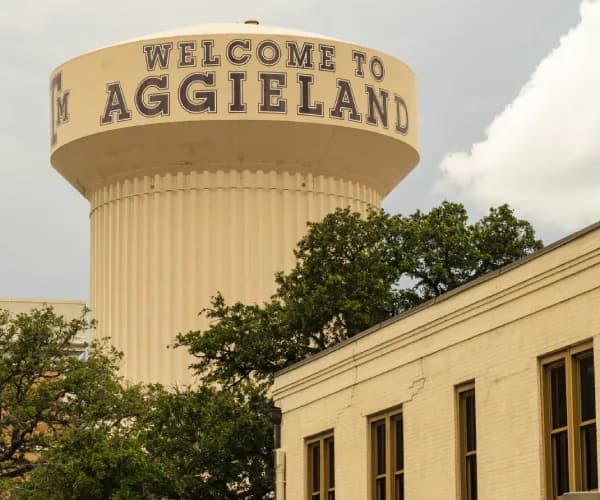 Hundreds Of Core Courses Cut At Texas Universities After New State Law