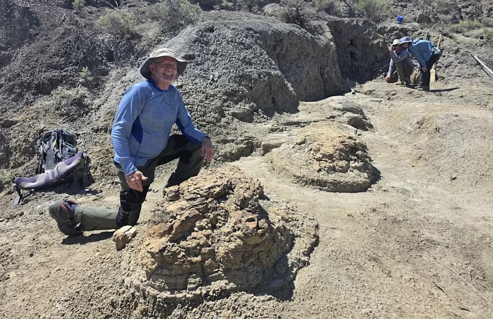 High School Teacher Uncovers First Known T. rex Trackway — A Rare Glimpse of Dinosaur Movement