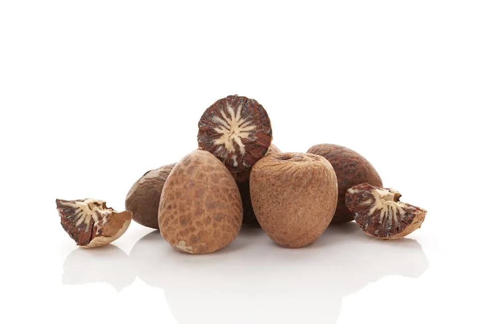 25,000-Year-Old Teeth Reveal The World's Oldest Drug Habit — Betel Nuts Used As Prehistoric Painkillers