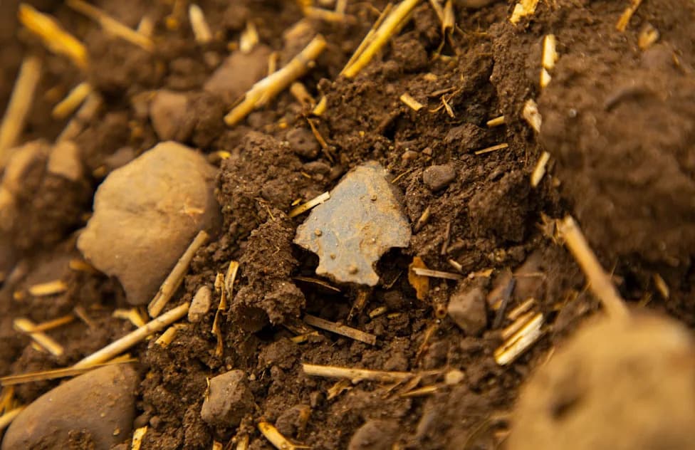 Tiny 80,000-Year-Old Arrowheads in Uzbekistan Could Rewrite Early Human Migration