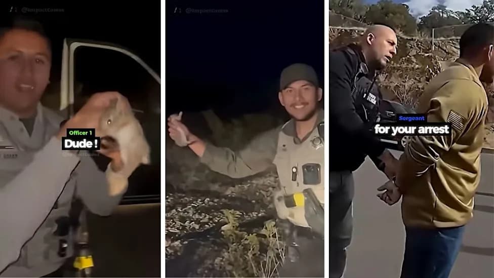 Viral Video Shows New Mexico Deputy Throwing Rabbit Into Patrol Car; Officers Fired and One Charged