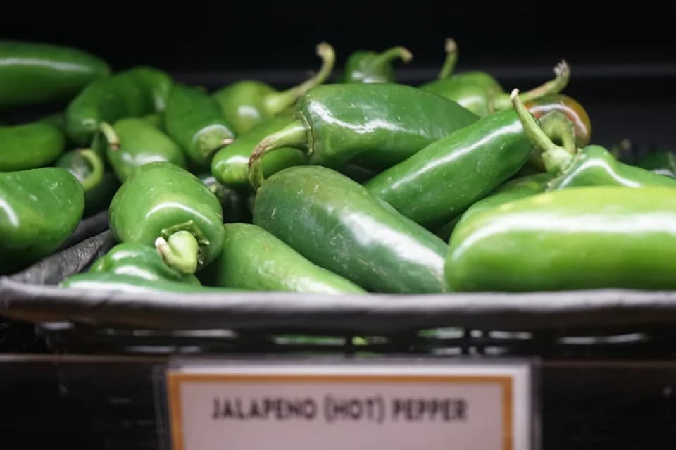 Urgent: FDA Upgrades Jalapeño Recall to Class I — 23 Taylor Fresh Foods Items Recalled Across 27 States