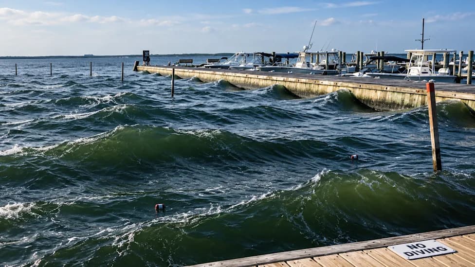 Viral Video: Deadly 'Seiche' Turns Harbor Into a Death Trap — How To Stay Safe