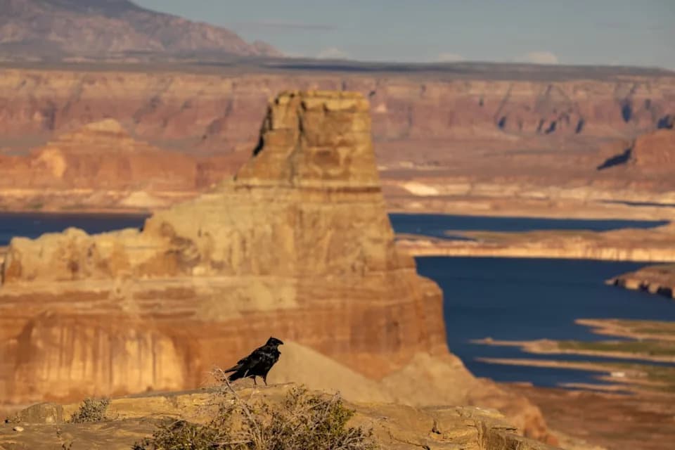 Federal Projections: Lake Mead Could Fall About 40 Feet As Lake Powell Rises — What The New Colorado River Study Means