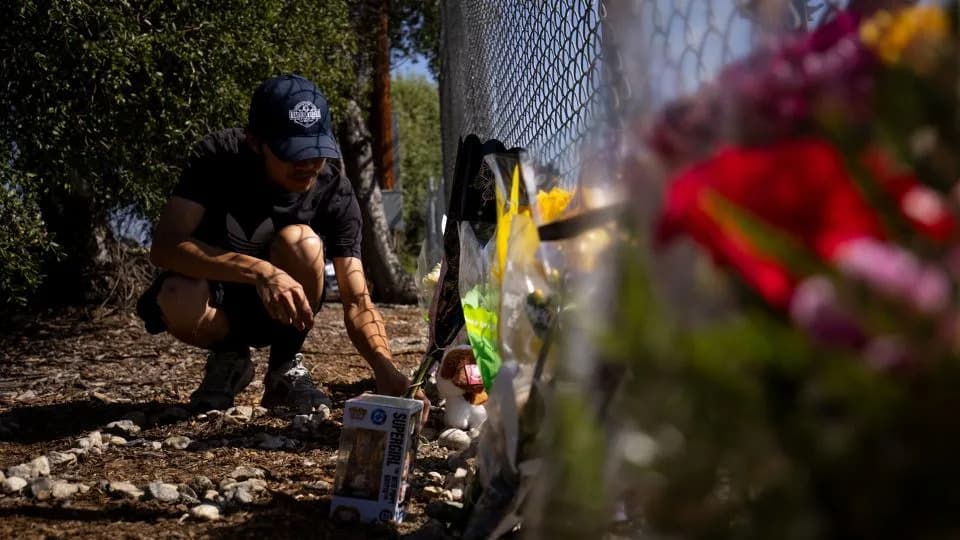 Grief in LA, Pregnancy Painkiller Study and the Return of Galápagos 'Alien' Tortoises — Today's Top Stories