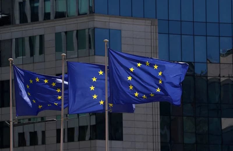 New Zealand Says It Has Not Discussed EU Associate Membership After Bloc Floats Idea for Canada