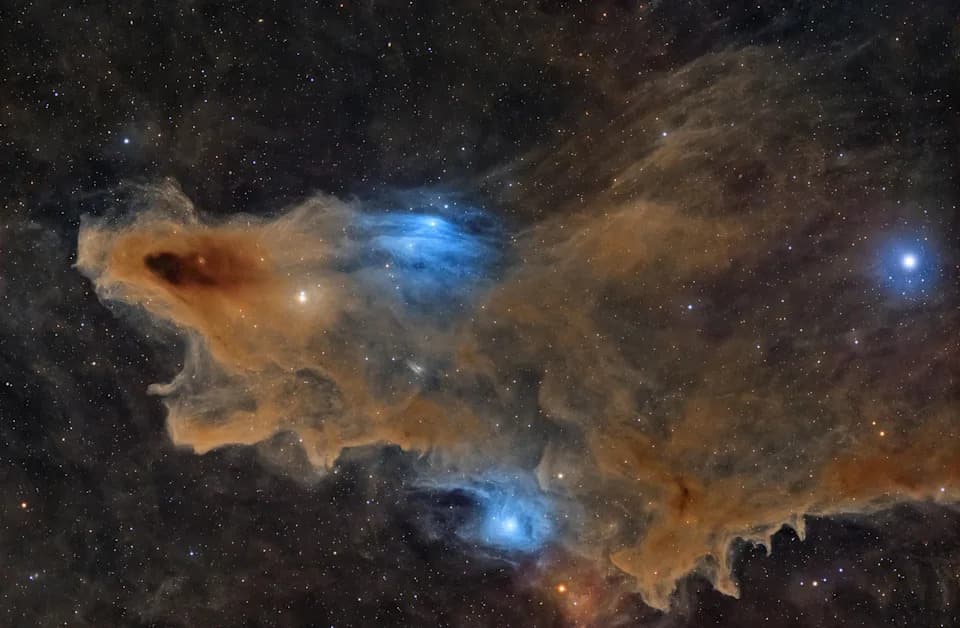 'The Quiet Predator' — Shark Nebula Wins ZWO Astronomy Photographer of the Year 2026 After 28.5-Hour Capture