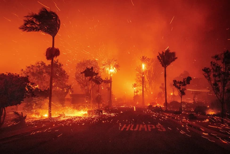 Burned on My 16th Birthday: How Government Failures Turned a Fire Into a Catastrophe