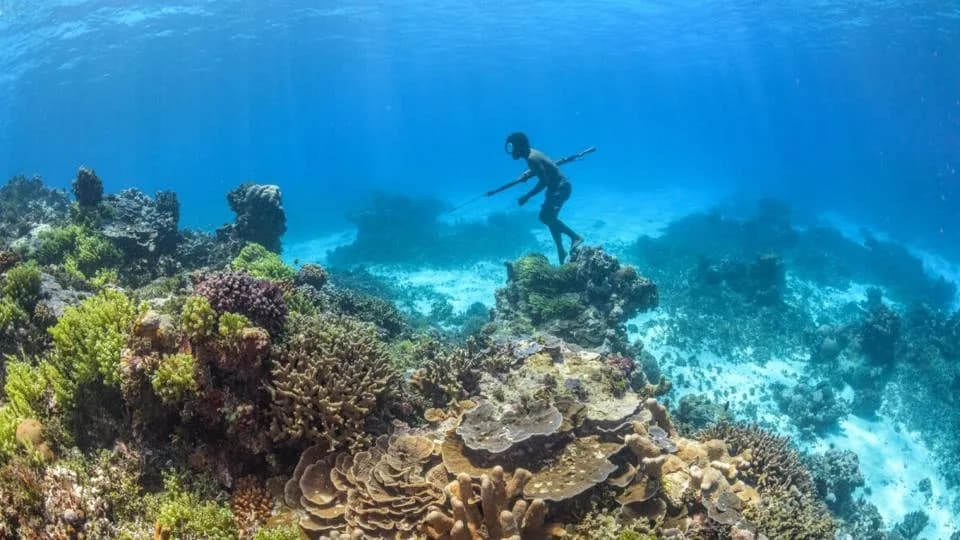 Bezos Earth Fund Pledges $25M To Protect 625,000 Sq Miles Of Tropical Pacific Ocean