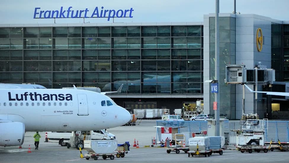 Three Dead in Frankfurt After Infected Mosquito From Flight Sparks Rare 'Airport Malaria' Cluster