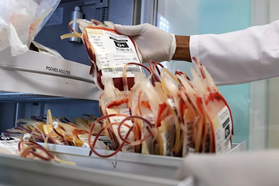 West African Scientists Warn Health Systems Are Weakening — Urgent Call To Boost Outbreak Detection