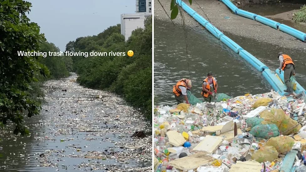 Panama River Interceptor Stops Tons Of Plastic Before It Reaches The Ocean