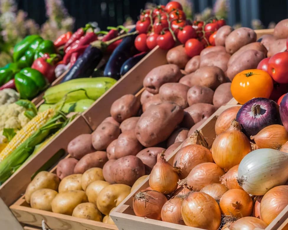 CDC Report: Higher Incomes Linked To Greater Fruit And Vegetable Intake — Policy Changes And Benefit Cuts Widen The Gap
