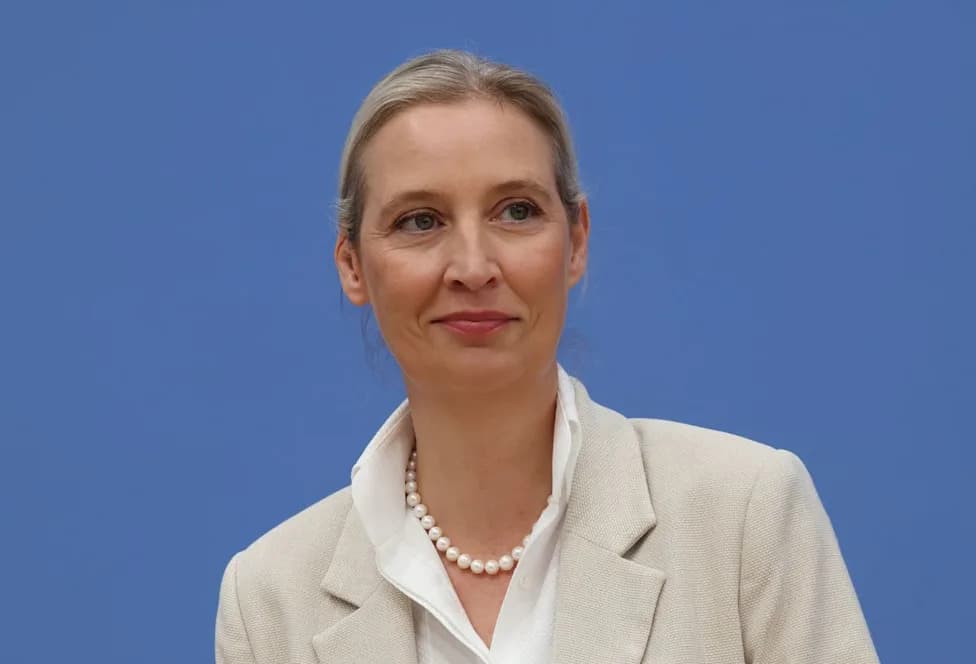 Alice Weidel: The AfD Leader Whose Private Life Raises Questions About Her Party's Positions