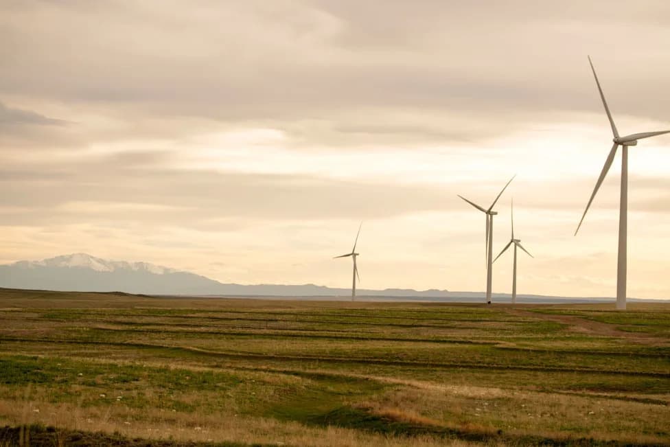 How 50 Wind Turbines Helped a Kansas Ranch Stay in the Family