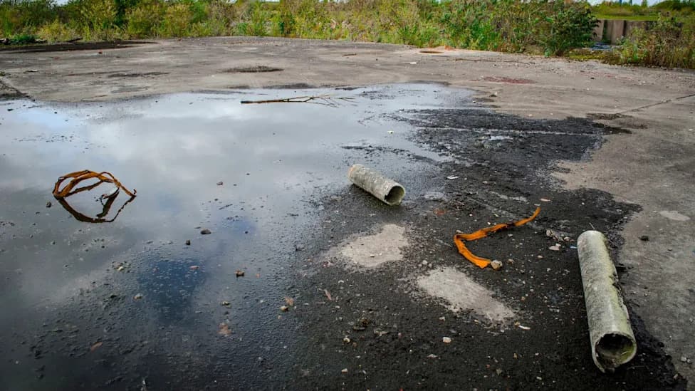 Underground Allies: Hazelwood Green Bacteria Could Help Clean Up Steel‑Era Pollution
