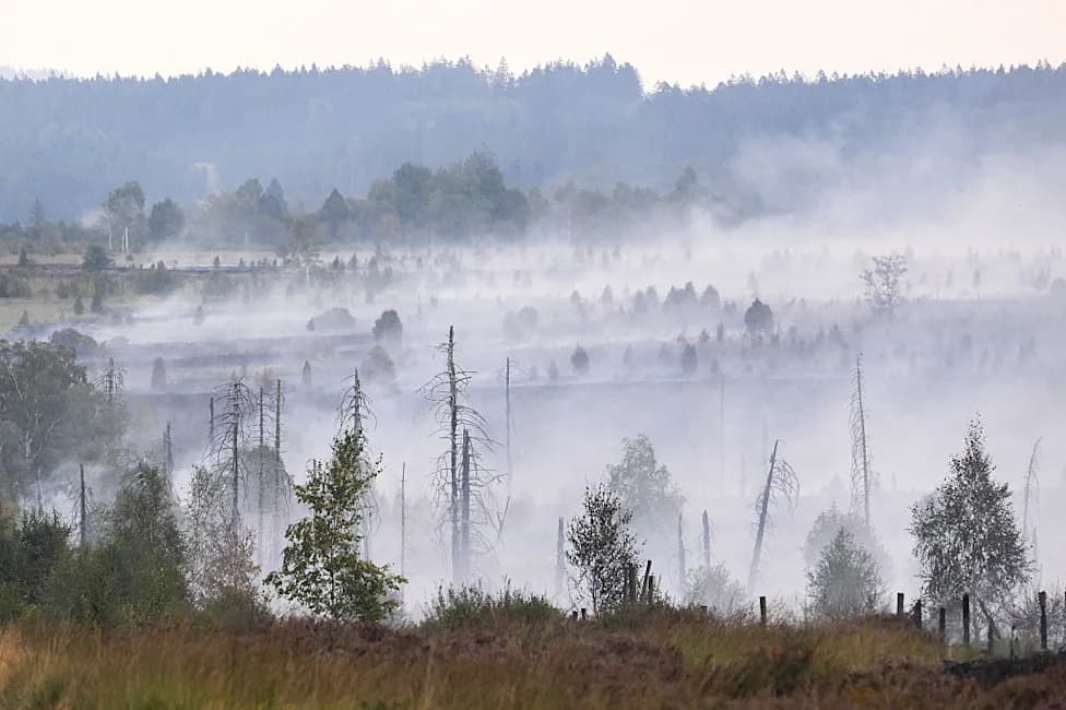 Children Born Today in Europe Will Face Nearly Twice As Many Extreme Fire-Weather Days, Study Finds