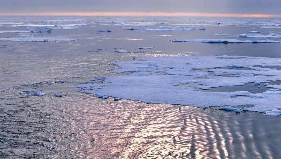 Floe Collisions, Not Wind Alone, Explain Surprising Arctic Sea-Ice Drift