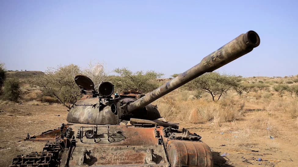 Seven Rebel Groups Form 'Alliance For Survival' to Oust Ethiopia's Federal Government