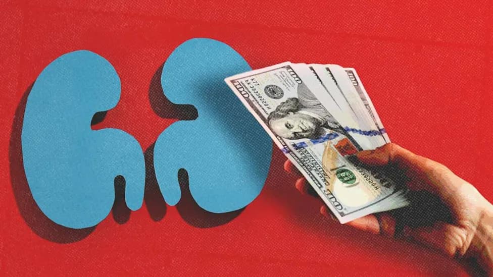 Why We Pay For Blood and Drug Trials — But Not Kidneys? Could Donor Compensation End The Transplant Waitlist?