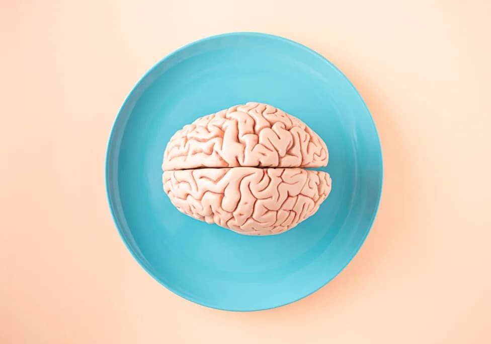 Scientists Reveal Human Brain Is Two Ancient Nervous Systems Packaged Together
