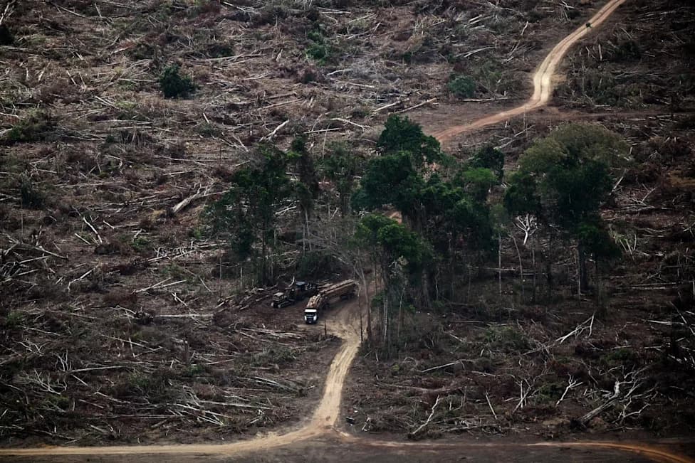 Seven of Nine Planetary Boundaries Breached at Record Levels, Scientists Warn