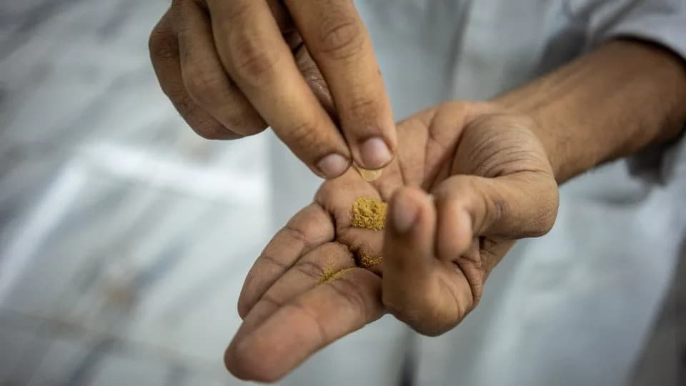 Ibogaine Explained: Promise, Risks, and Why Veterans and Researchers Are Watching