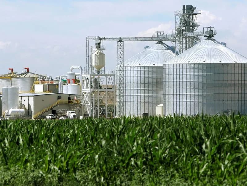 Study: Global Biofuel Output Could Jump Nearly 70% by 2030 — Risks to Food Security and Land Use