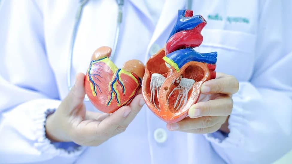 FDA Clears Cordis SELUTION SLR — First Sirolimus Drug‑Eluting Balloon Approved For Coronary In‑Stent Restenosis