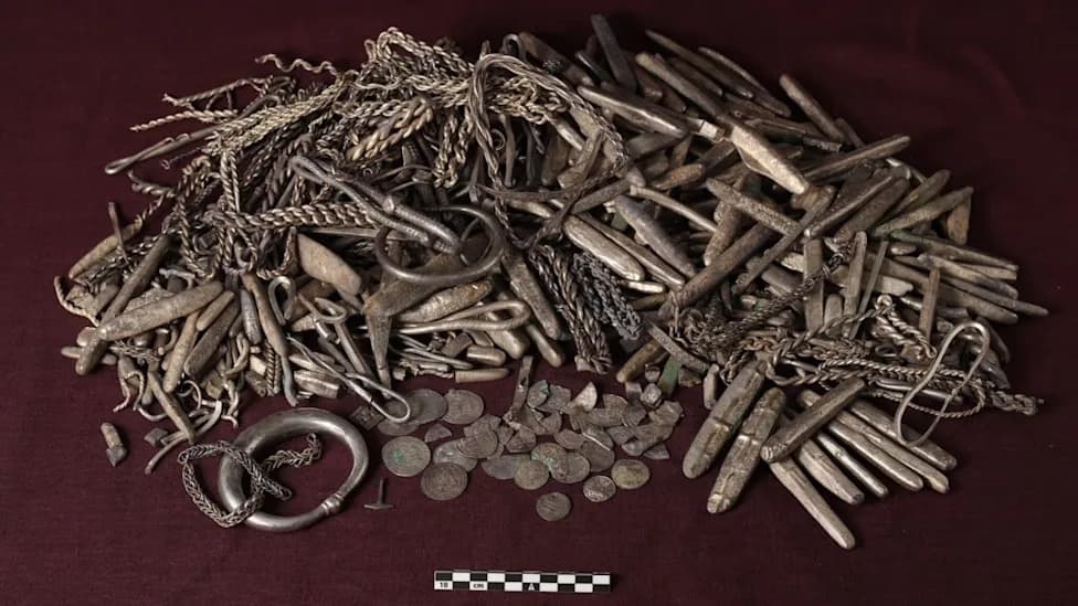 Stubborn Grass Reveals Treasure: Gardener Unearths Denmark’s Largest Viking Silver Hoard