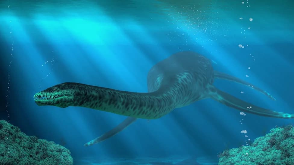 Jurassic 'Owl Pellets' Reveal Plesiosaurs Regurgitated Indigestible Shells